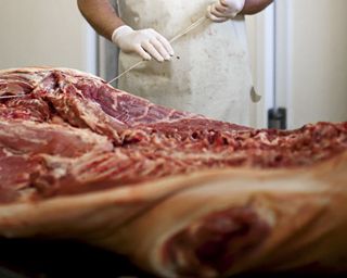 Porchetta Cariani. Alle Schweine stammen aus umbrischen Zuchtbetrieben