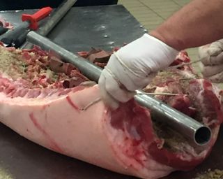 La porchetta è uno dei cibi da strada più amati dell'Umbria. Cariani porchetta umbra di Bevagna