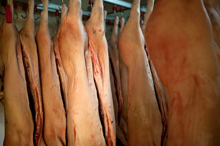 Cariani - Lavorazione della porchetta tipica umbra di Bevagna 