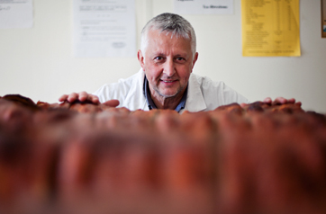 Cariani - Verarbeitung der typisch umbrischen Porchetta von Bevagna