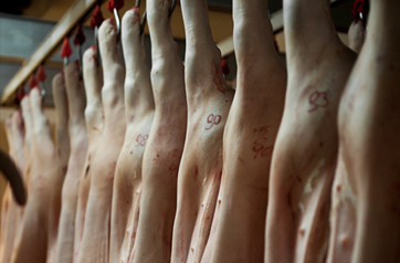 Cariani - Die Produktion von Umbra-Schweinefleisch aus Bevagna