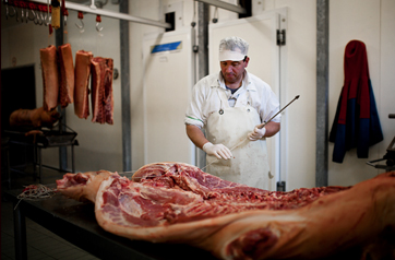Cariani - Schweinefleisch Schweinefleisch zubereitet nach dem traditionellen umbrischen Rezept
